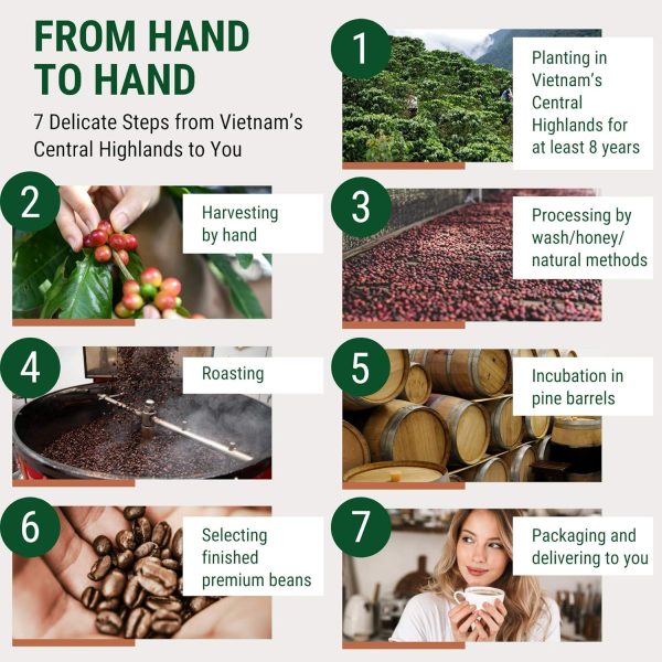 Bold Robusta Vietnamese Ground Espresso – Perfect for French Press & Phin Brewing | High Caffeine Dark Roast Specialty Coffee Gift for Avid Coffee Lovers - Image 4